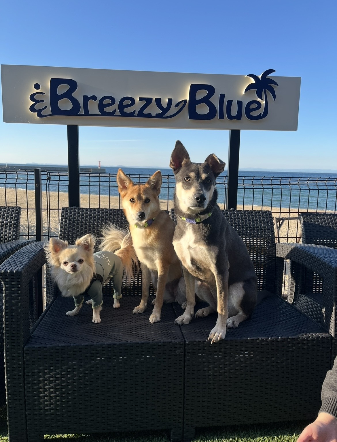 Breezy Blue看板と海くん